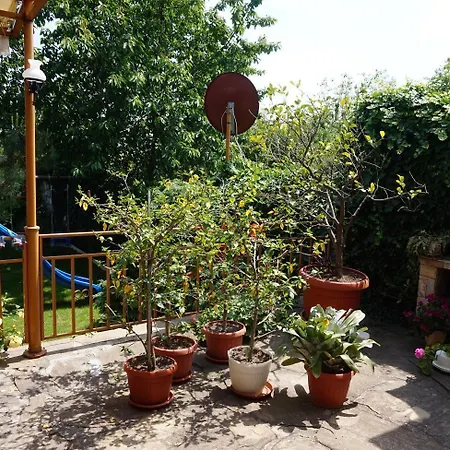 玛格丽塔酒店 2*