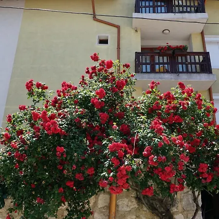 玛格丽塔酒店 2*