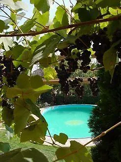 玛格丽塔酒店 2* 瓦爾納