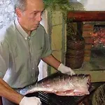 Margarita Hotel